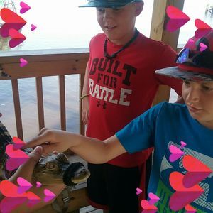 Meet your Posher, Connie